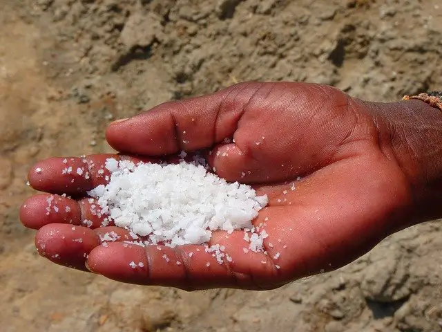 a human hand holding salt
