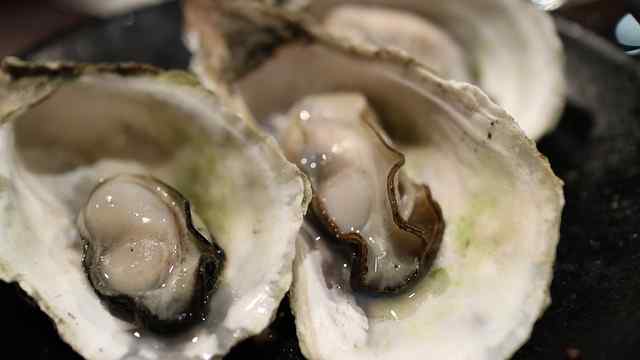 Do Oysters Move? (EXPLAINED)